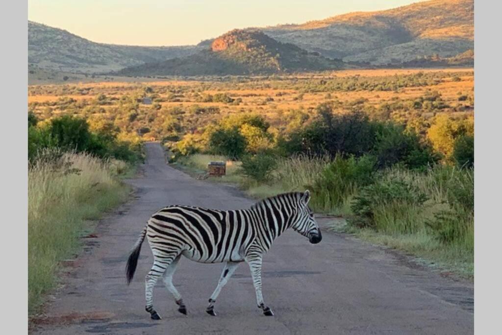 Rhino House With 3 Bedrooms Next To Pilanesberg And Sun City Mogwase Exterior photo
