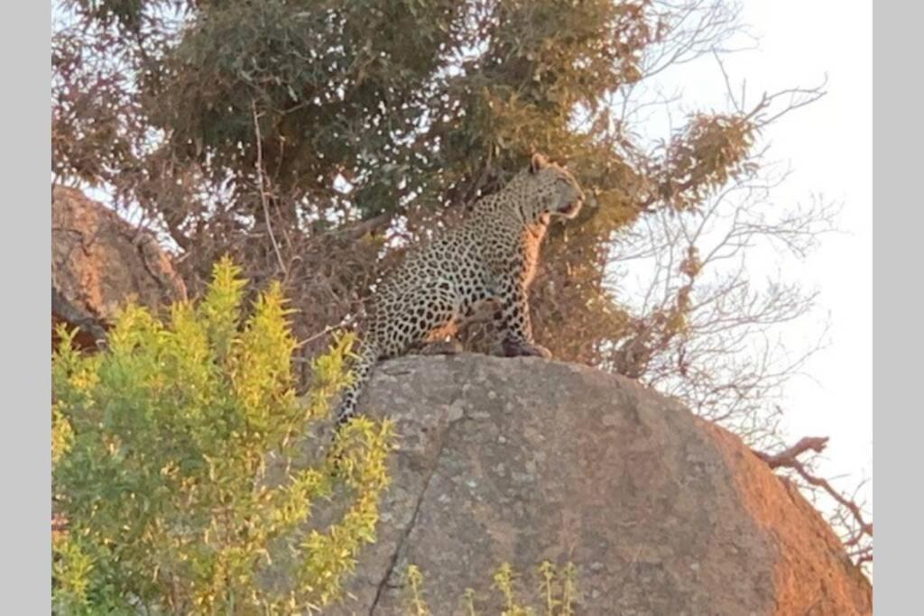 Rhino House With 3 Bedrooms Next To Pilanesberg And Sun City Mogwase Exterior photo
