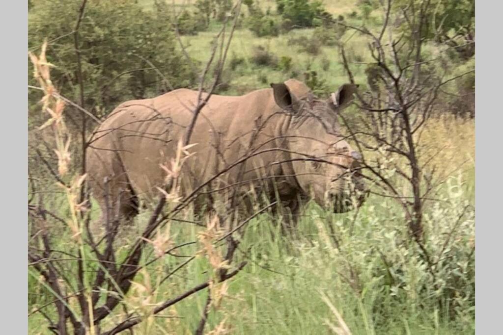 Rhino House With 3 Bedrooms Next To Pilanesberg And Sun City Mogwase Exterior photo
